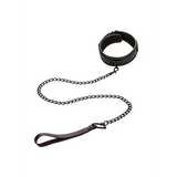 Nocturnal Collar & Leash
