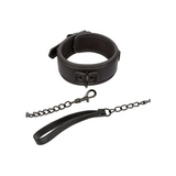Nocturnal Collar & Leash