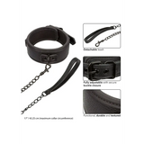 Nocturnal Collar & Leash