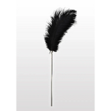 Feather Tickler Sort