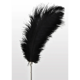 Feather Tickler Sort