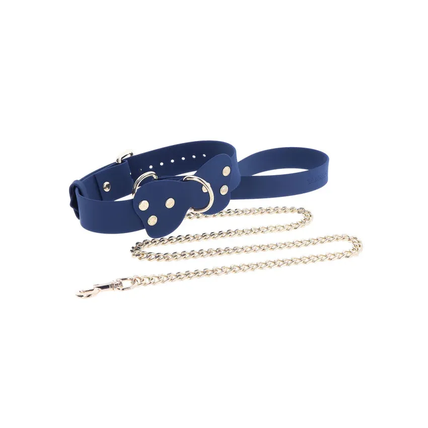 Silicone Collar and Leash
