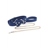 Silicone Collar and Leash