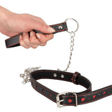Heart Chain Collar & Leash
