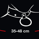 Heart Chain Collar & Leash