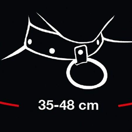 Heart Chain Collar & Leash