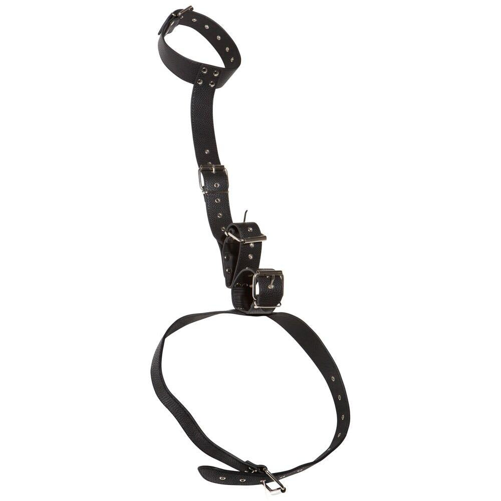 Back Control Restraint Harness