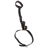 Back Control Restraint Harness