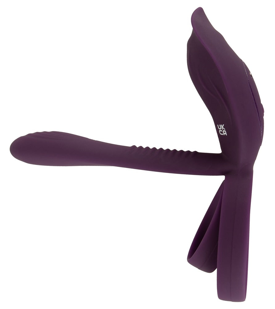 RC Parvibrator 2