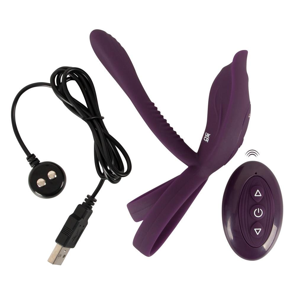 RC Parvibrator 2