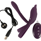 RC Parvibrator 2