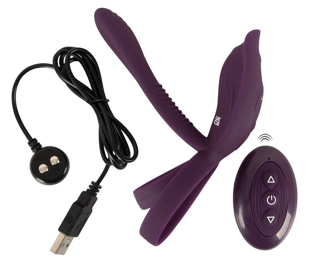 RC Parvibrator 2