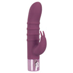 Lilla silikon rabbitvibrator med ergonomisk design og skinnende metallbase.