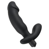 Prostata Vibrator fra Rebel