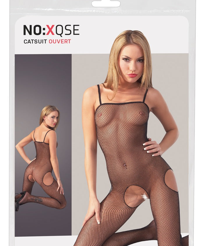 Fishnet Bodystocking