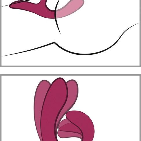 We-Vibe Nova 2 rabbitvibrator i mørk rosa silikon med fleksibelt skaft og kaninører for dobbel stimulering.