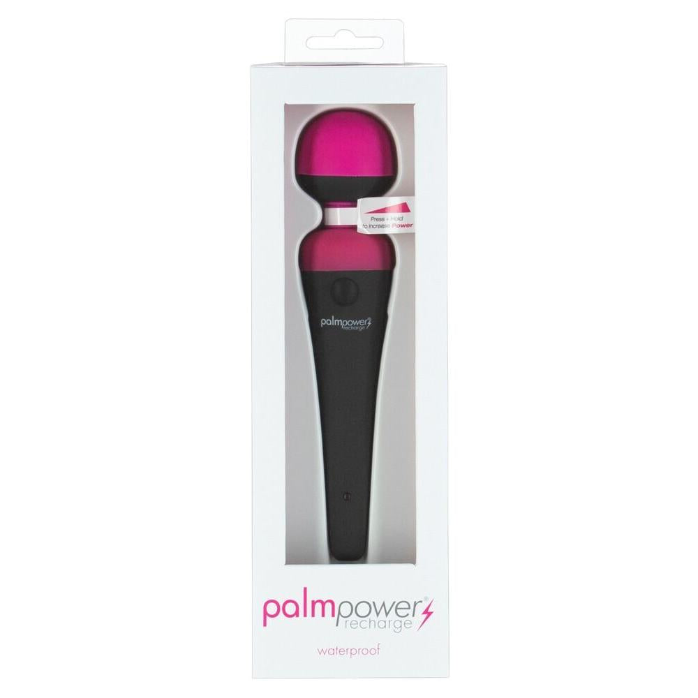 Palmpower Recharge Massasjestav