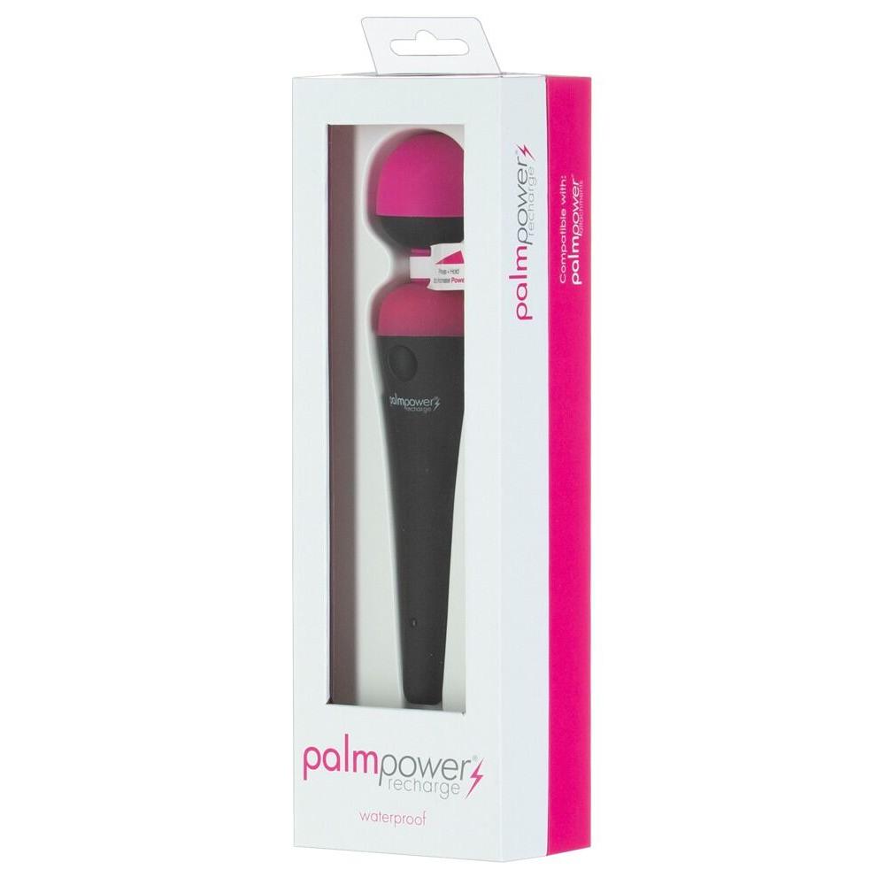 Palmpower Recharge Massasjestav