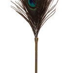 Taboom Dona Peacock Tickler