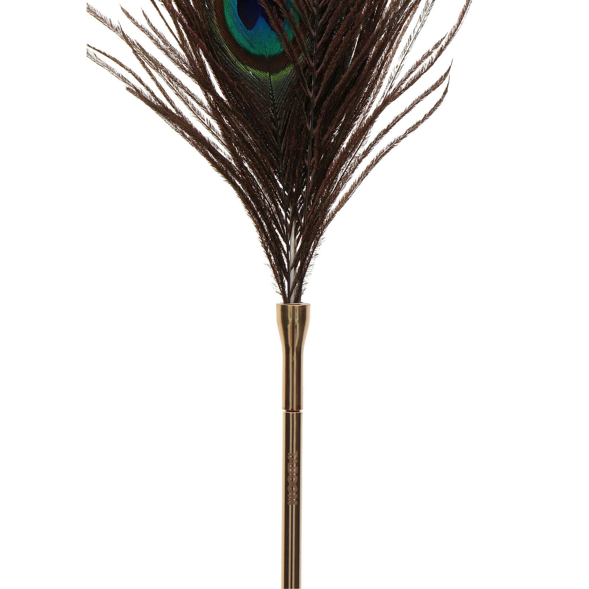 Taboom Dona Peacock Tickler