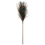 Taboom Dona Peacock Tickler