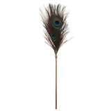 Taboom Dona Peacock Tickler