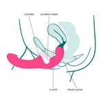 Share Lite Dobbeldildo fra Fun Factory